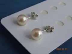 あこや真珠7.1㎜　SV925ピアス