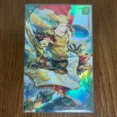 新品未開封 亀ヰリヨウ DEMON HUNTER スリーブ 100枚入り mtg - メルカリ