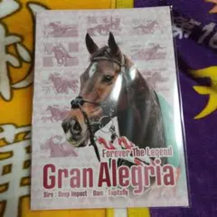 値下げしました。競馬 サイン入り写真 木製フレーム。グランアレグリア。 2026年最新】グランアレグリア サインの人気アイテム - メルカリ