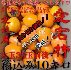 安い‼️干し柿用♡愛宕柿（渋柿）♡1級品♡大サイズ♡35玉前後入り♡箱込み10キロ
