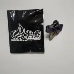 阪神タイガース 佐藤輝明 ピンバッジ
