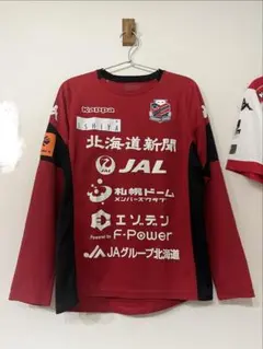 北海道コンサドーレ札幌 トレーニングウェア 選手支給品 2019のサムネイル