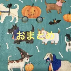 susumu様 リクエスト 2点 まとめ商品