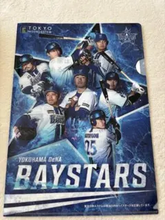 【非売品】横浜DeNAベイスターズ クリアファイル 東京日商エステムDAY
