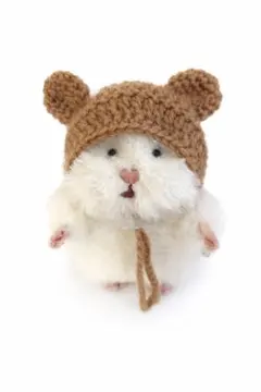 クマ耳付き帽子【はむにぎり】