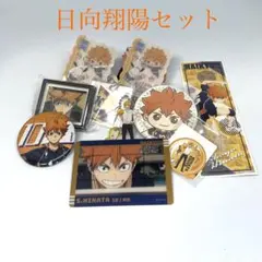 ハイキュー‼︎ 日向翔陽のグッズ.カード　計23点セット
