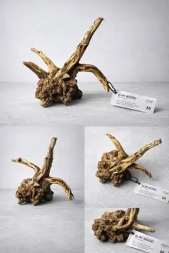 2026年最新】ADA 流木、の人気アイテム - メルカリ