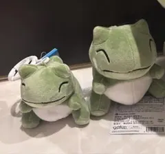 포켓몬 センター エルフーン みがわり ぬいぐるみ マスコット 2点セット