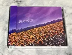 踊ってばかりの国 CD アルバム 3枚セット 希少 Amazon.co.jp: SONGS: ミュージック