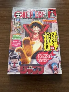 ONE PIECE マガジン 20号　プロモ付き