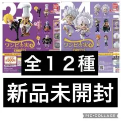 ワンピの実　第二十四海戦　第二十三海戦　全１２種 新品未開封