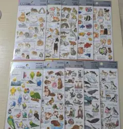 最終値下げ おとなの図鑑シール 10枚セット