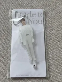 セブチ　アクリルスティック ジョシュア