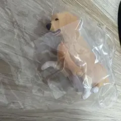 モザイヌ2 レトリバー