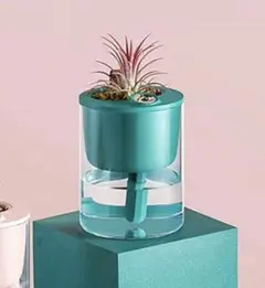 Item thumbnail for item 3e00ce77-7b95-4e11-82a1-f733516ebba5