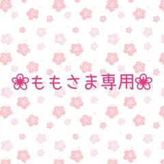 ❉もも様専用ページ❉