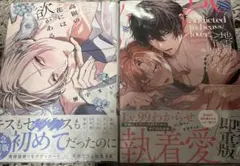 みちゃん様 リクエスト 2点 まとめ商品