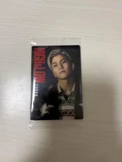 HiGH&LOW ウエハース COBRA 岩田剛典