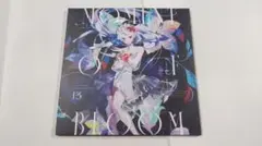 Sennzai - Moment Of Bloom