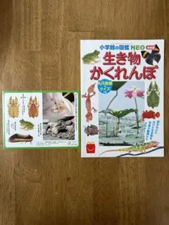 マクドナルド　ハッピーセット　図鑑　絵本　4冊セット