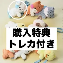 2025年最新】Zeroni ぬいぐるみ フラットの人気アイテム - メルカリ