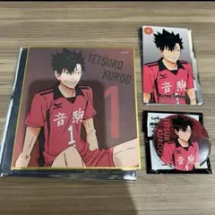 ハイキュー　黒尾鉄朗　ゴミ捨て場の決戦展　ミニ色紙　缶バッジ　チケット風カード