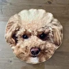 Item thumbnail for item a8881676-3fb1-4931-a4c1-7868381c5f67