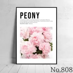 mkmk様 リクエスト 2点 まとめ商品