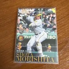 Item thumbnail for item 5ba45c1a-d085-4fd8-8e73-6bc4f92c38a8