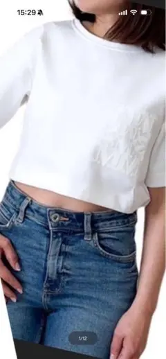 MAX MARA マックスマーラ Tシャツ MESSICO カットソーのサムネイル