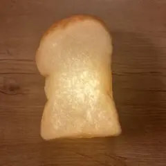 おとうふ様専用　PAMPSHADE パンプシェード