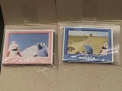 そらジロー様 リクエスト 2点 まとめ商品