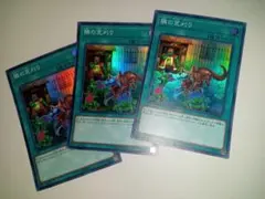 遊戯王　隣の芝刈り　スーパー　3枚