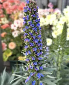 yumiasg様 リクエスト 3点 まとめ商品