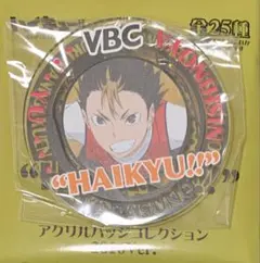 ハイキュー‼︎ 1/10 アクリルキーホルダー 西谷夕 アニカフェ レア