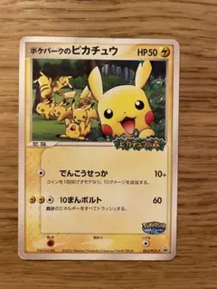 ポケパークのピカチュウ PROMO PCG-Pプロモカード 043/PCG-P - メルカリ
