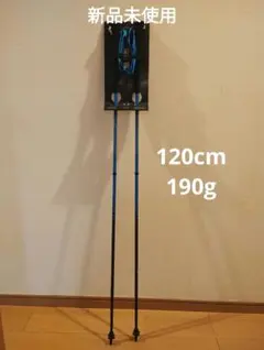 Item thumbnail for item 43eb8979-4eab-42d5-ab51-0f921a819aa9