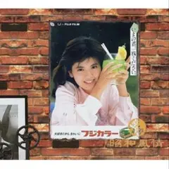 2026年最新】看板 フジカラーの人気アイテム - メルカリ