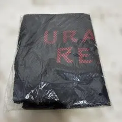 Item thumbnail for item 3aacd083-b7cf-40cb-9ea9-a4c067f20e96