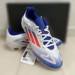 Item thumbnail for item 02a58f1a-536b-4a9a-9c38-04470c538b97