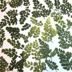 Haru工房❁⃘*.゜様 リクエスト 4点 まとめ商品