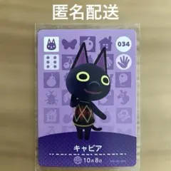 あつまれ どうぶつの森 キャビア amiiboカード 034