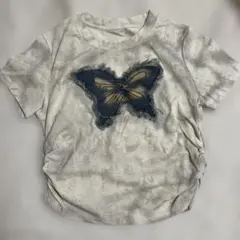 Item thumbnail for item 4a226229-d8d9-41cf-ab53-2692e2f099cc