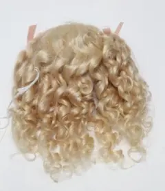 2025年最新】ビスクドール ウィッグの人気アイテム - メルカリ