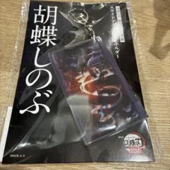 新品未開封　鬼滅の刃 無限城編 スライドアクリルキーホルダー 胡蝶しのぶ