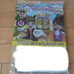 チャレンジタッチ4年生　2024年10月号