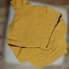 Item thumbnail for item f7f70966-10e7-492d-9173-e1753b52be88