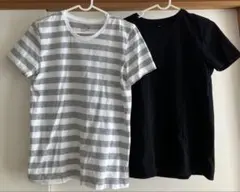 無印　レディース半袖Ｔシャツ　2枚セット