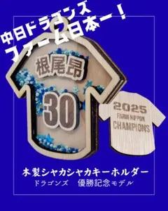 たけるくん様 リクエスト 2点 まとめ商品