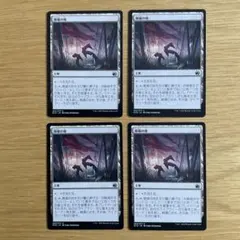 MTG 廃墟の地（日）4枚セットのサムネイル